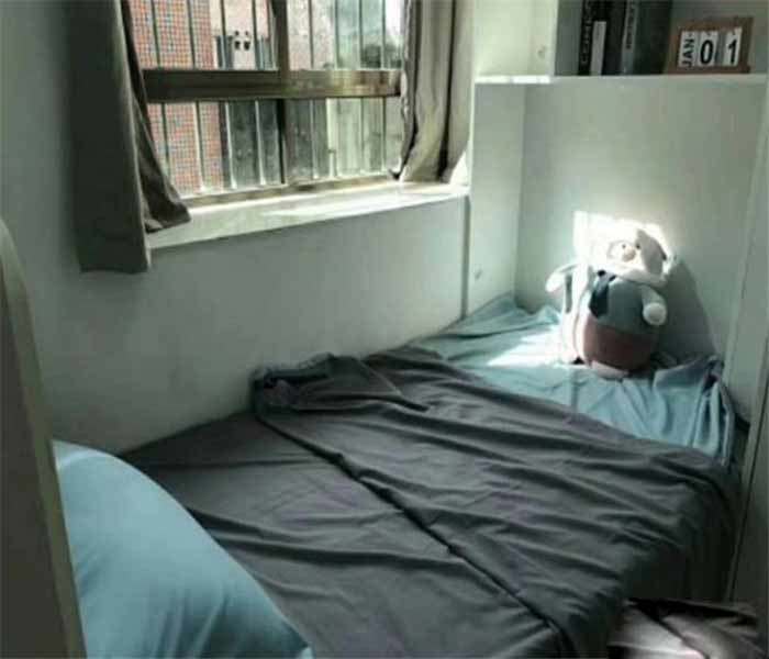 松崗集資房:藝麗家園