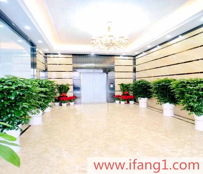 坂田最新小產權房-寶能精品公寓