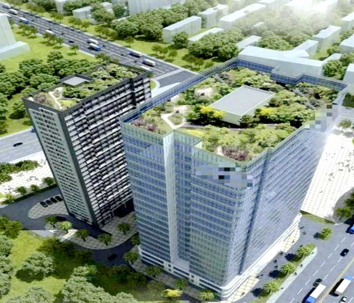 大鵬小產權網站-中國創聯食用膠網